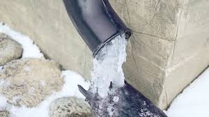 Prevent Clogged Drains